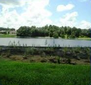 Lake Restoration/Aquatic Weed Control MSBUs
