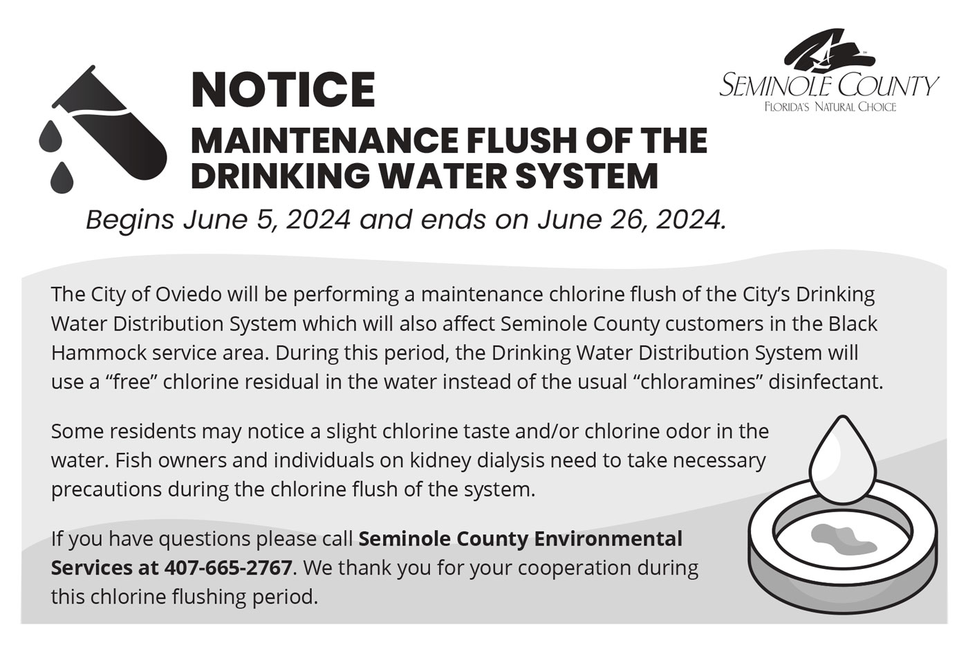Black Hammock Chlorine Flush Postcard Notice