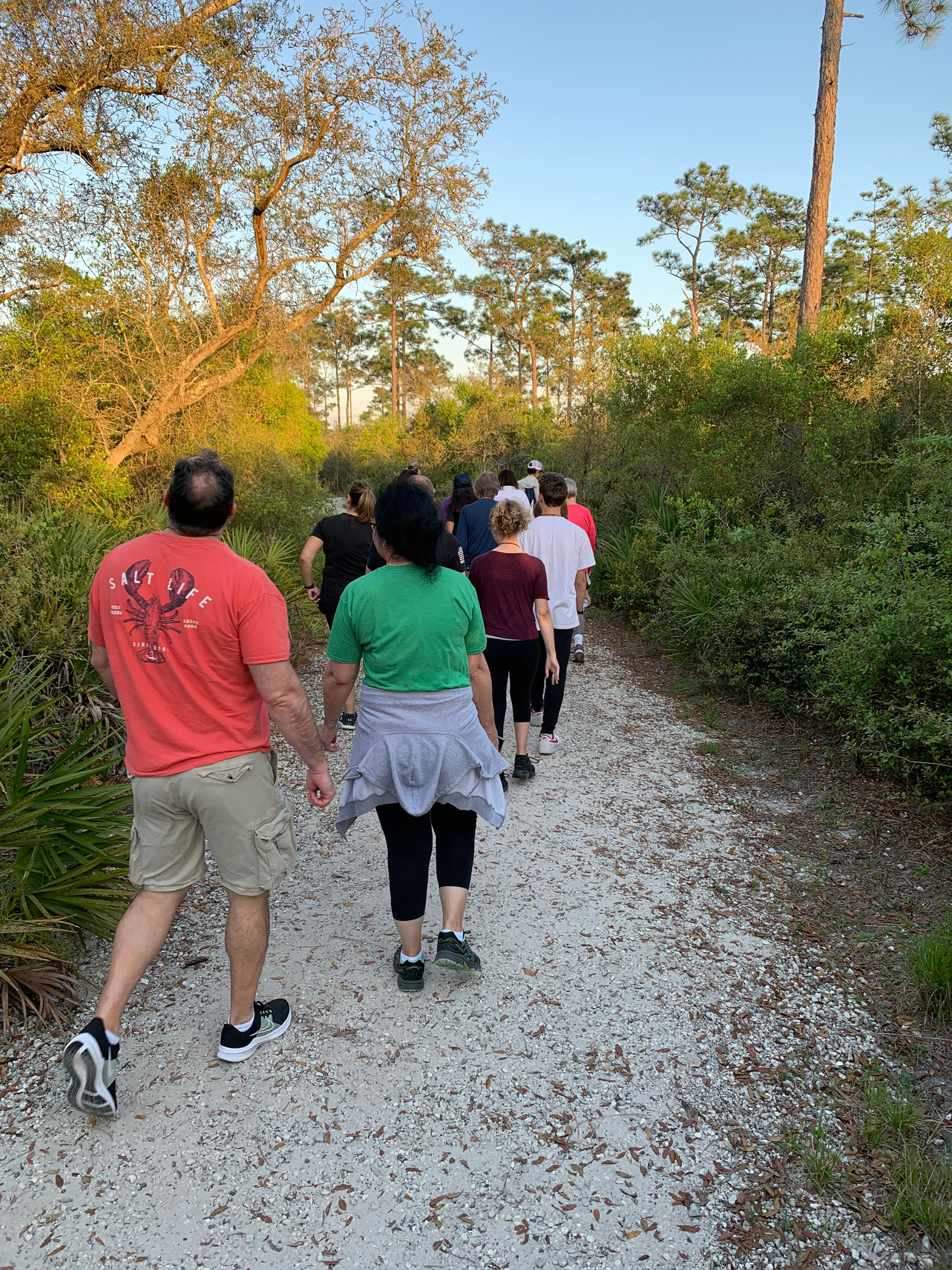 a group of individuals hiking