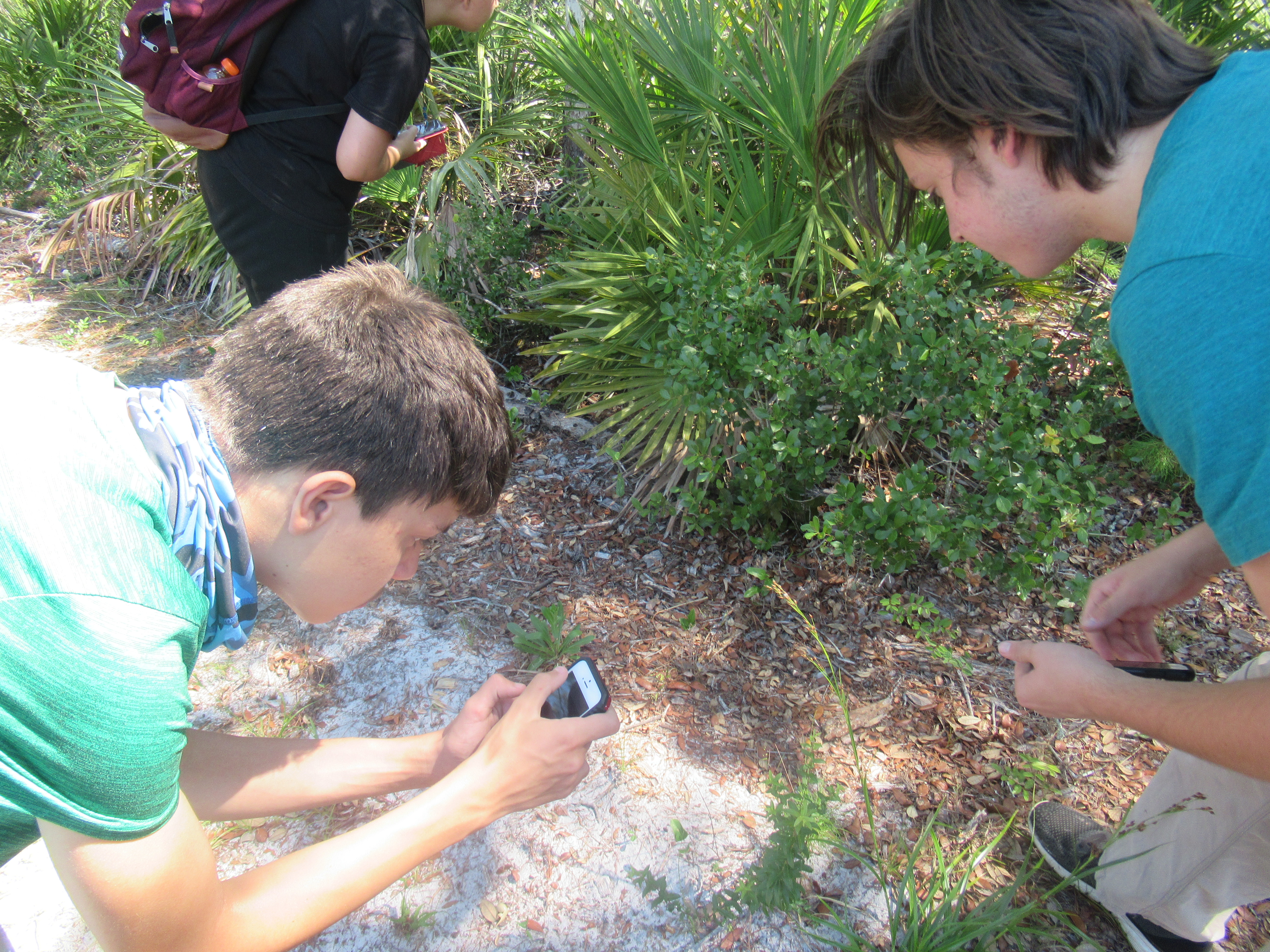 teens out on a trail taking picture of plants
