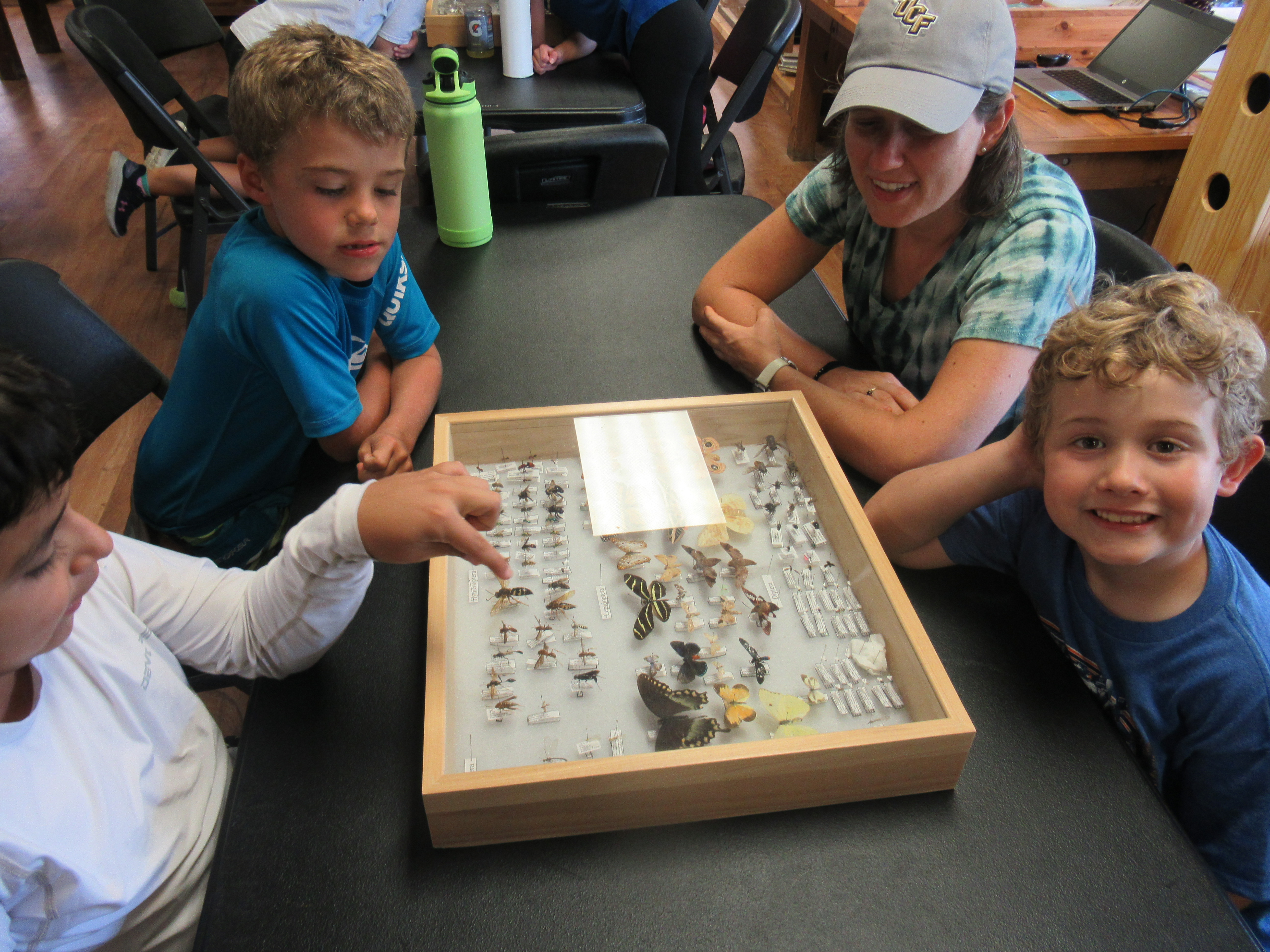 Campers looking and pointing at a case full of mounted insects.