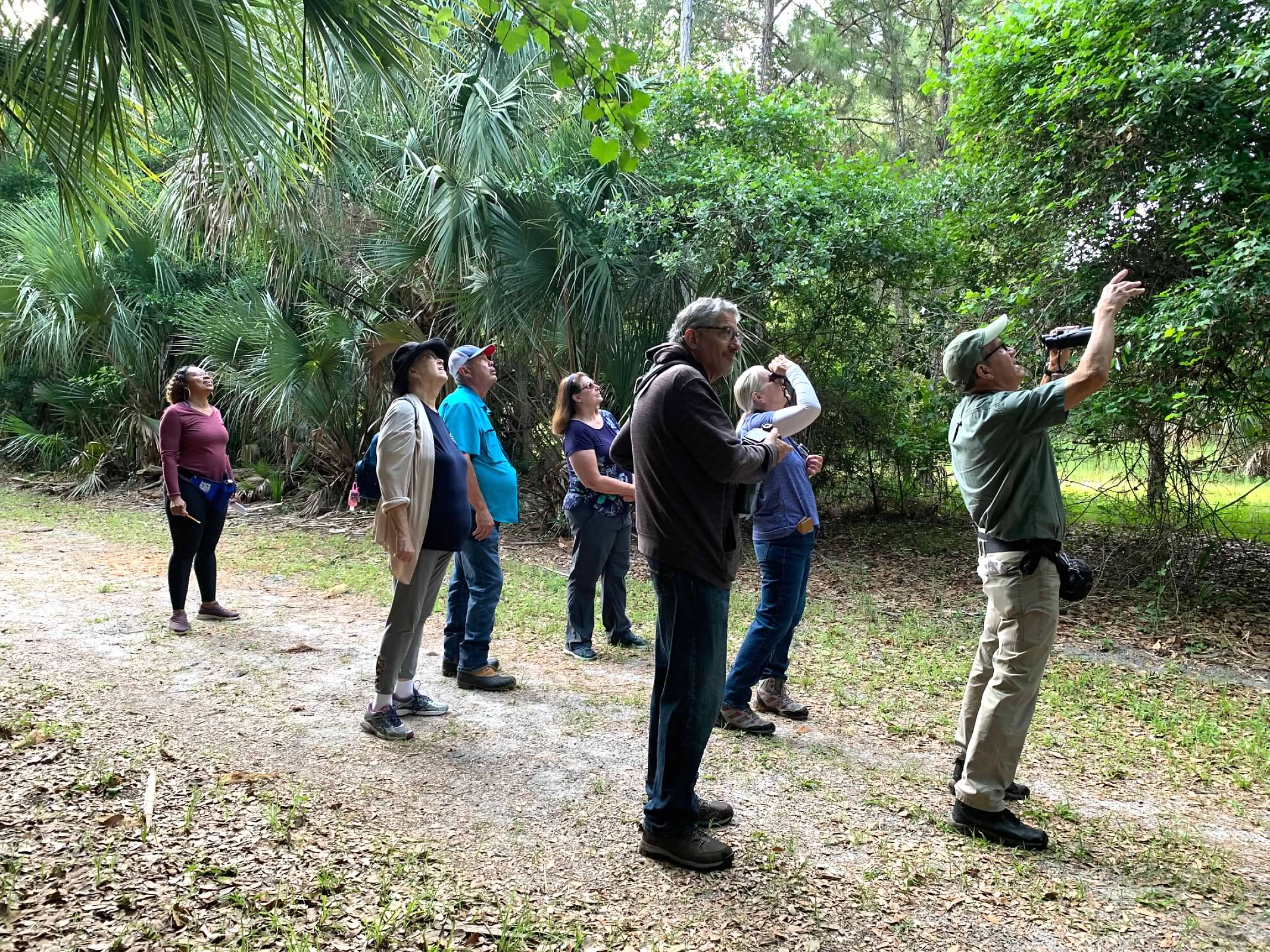Hikers looking up with binoculars during a birding hike