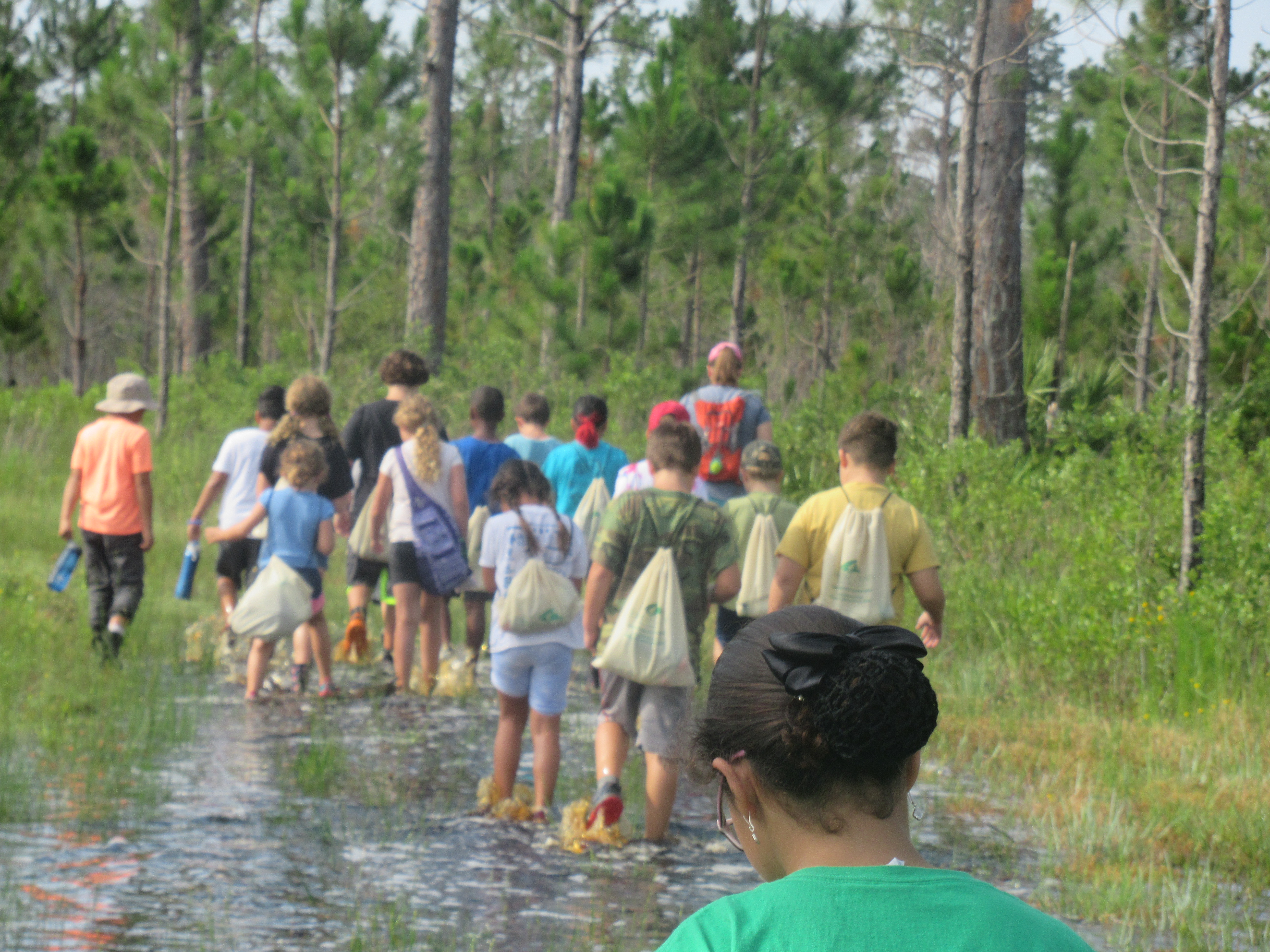 Eco campers walking through pine flatwoods