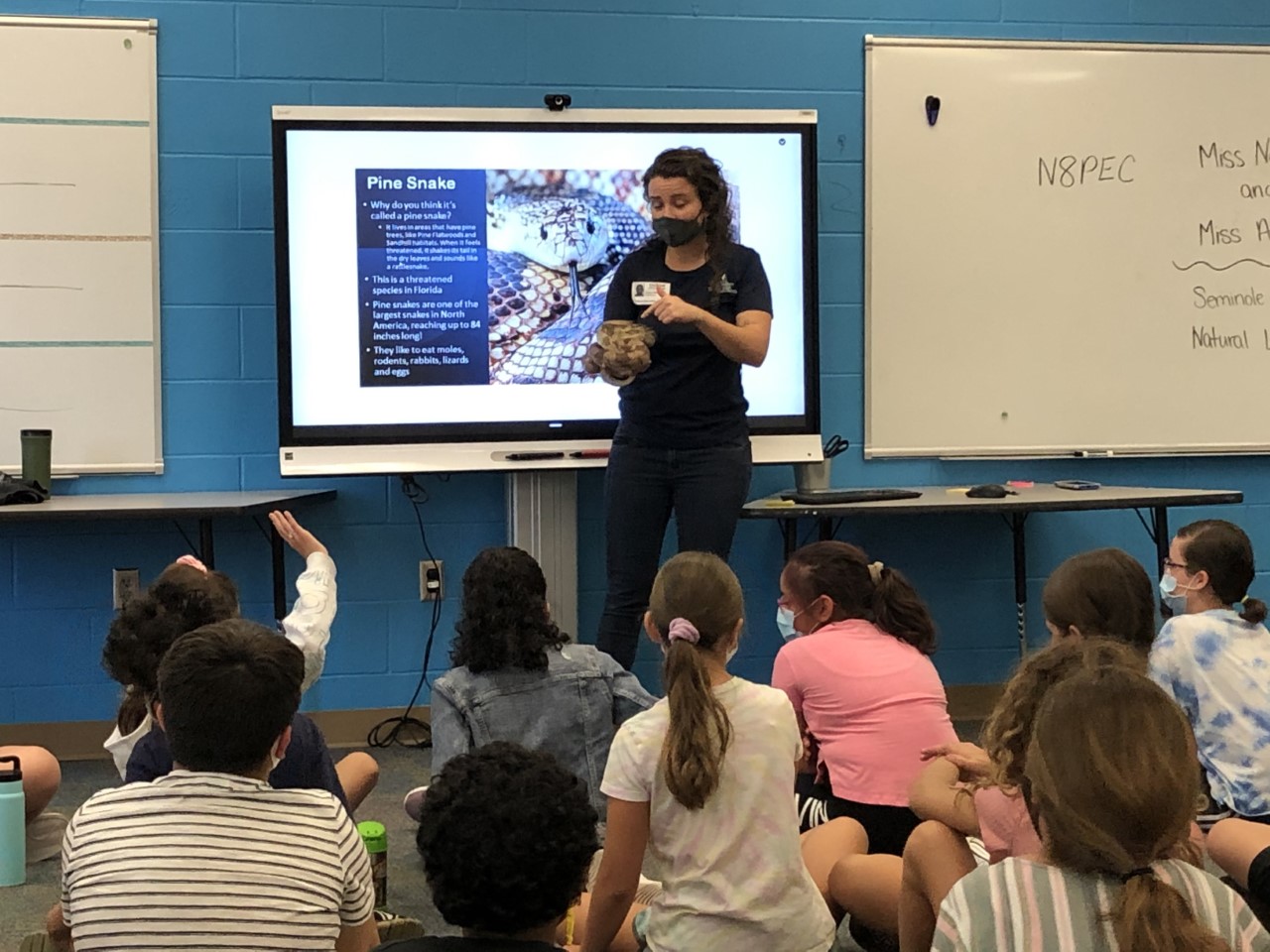 Natural Lands instructor holding a Florida pine snake, and pointing to it in front of a classroom of 5th grade students