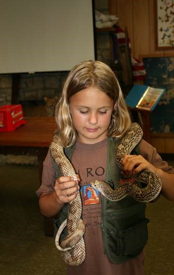 young girl holding a Florida pine snake in the Ed Yarborough Nature Center