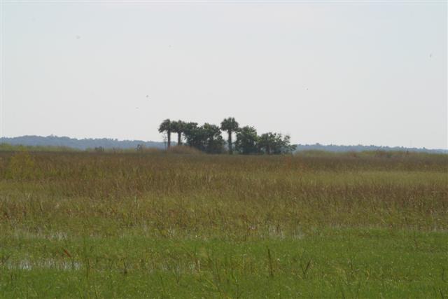 Floodplain