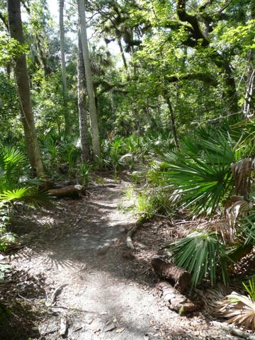 Black Bear Wilderness Area | Seminole County