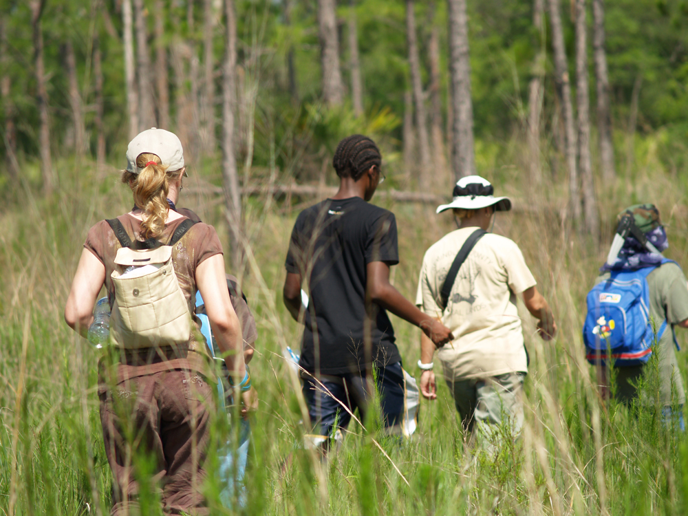 four adults hiking on a trail with backpacks on