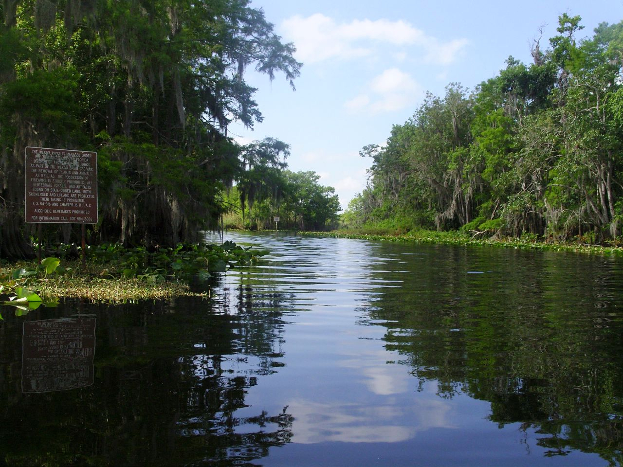 Wekiva River in Seminole County, FL