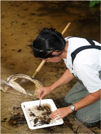 water quality biological monitoring