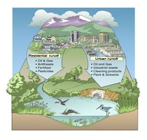 Watershed Cycle