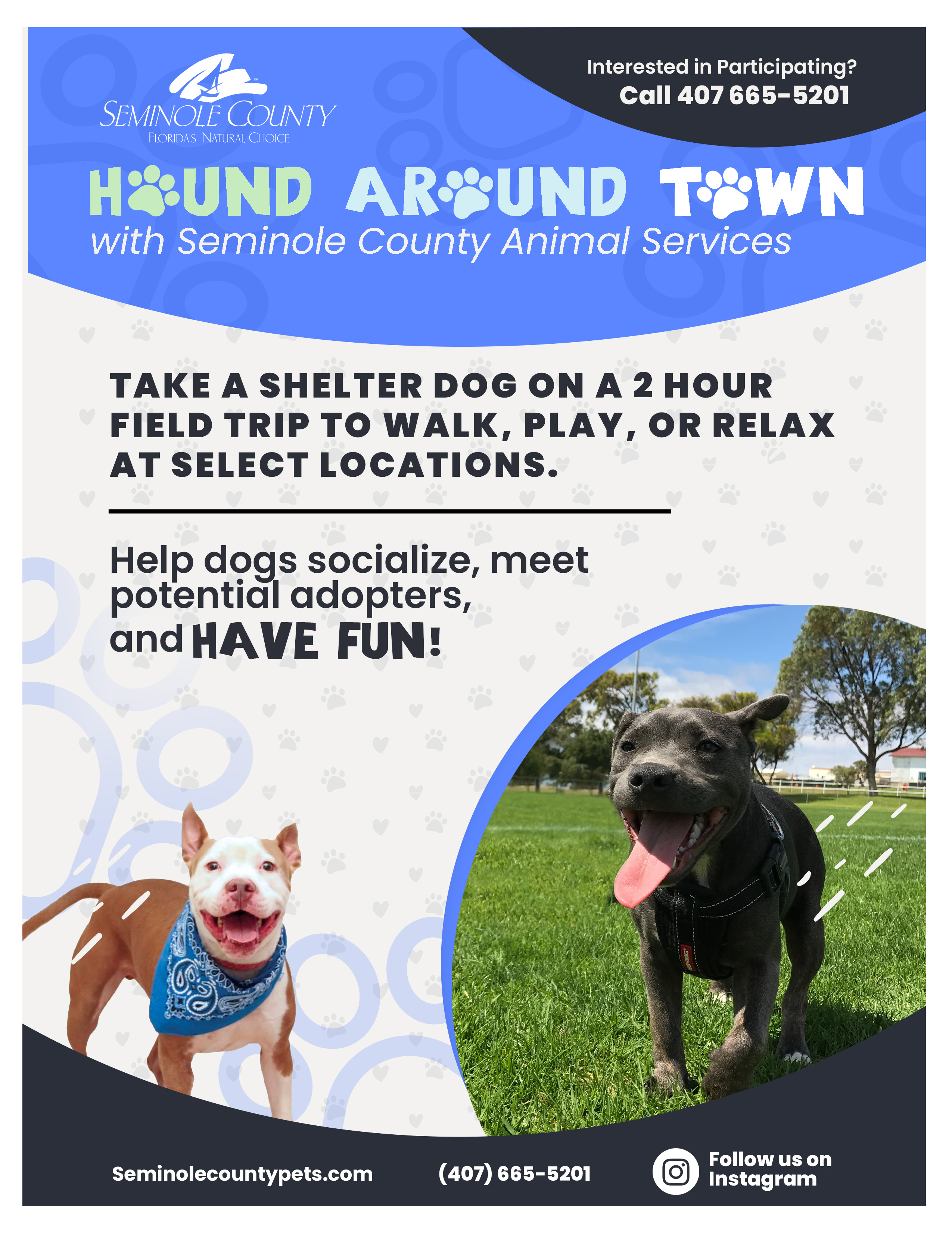 Hound Around Town program flyer