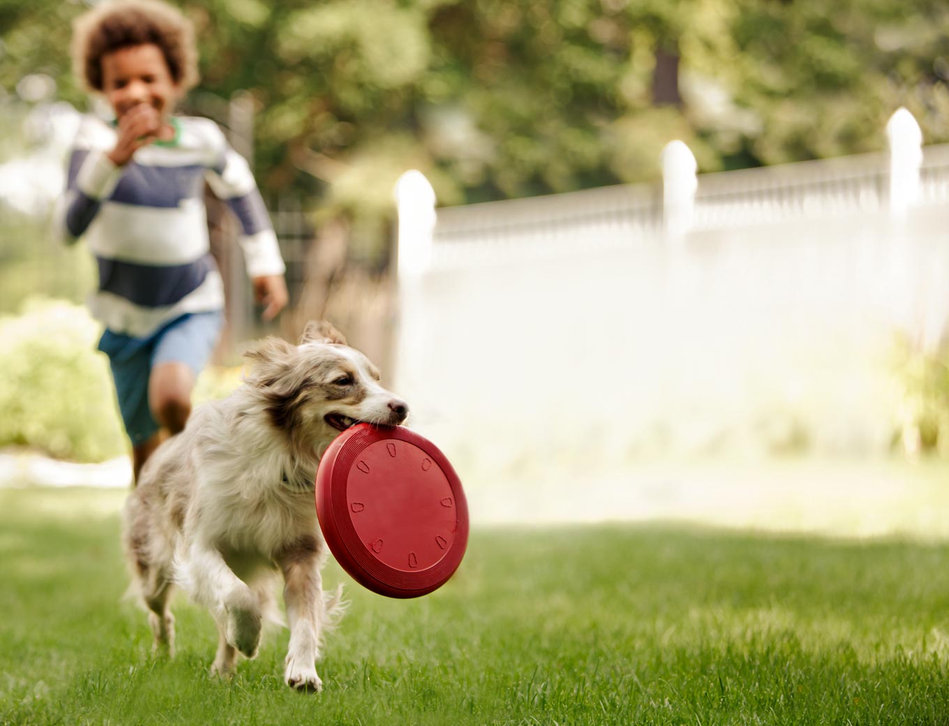 Boy with dog 