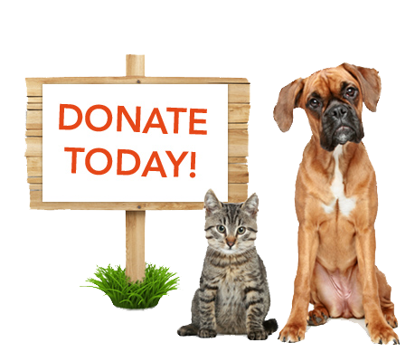 animal donations