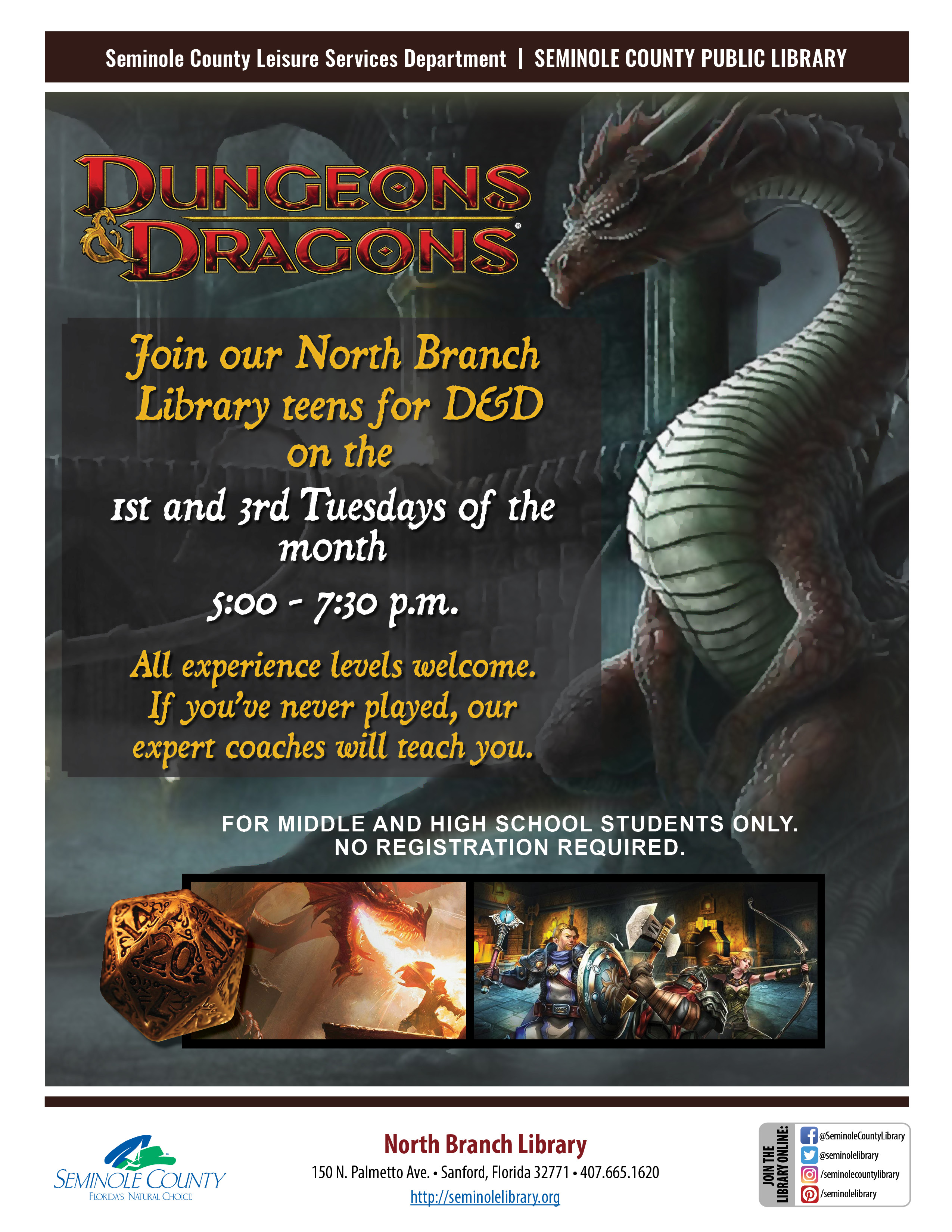 Dungeons & Dragons for Teens - North Branch Library