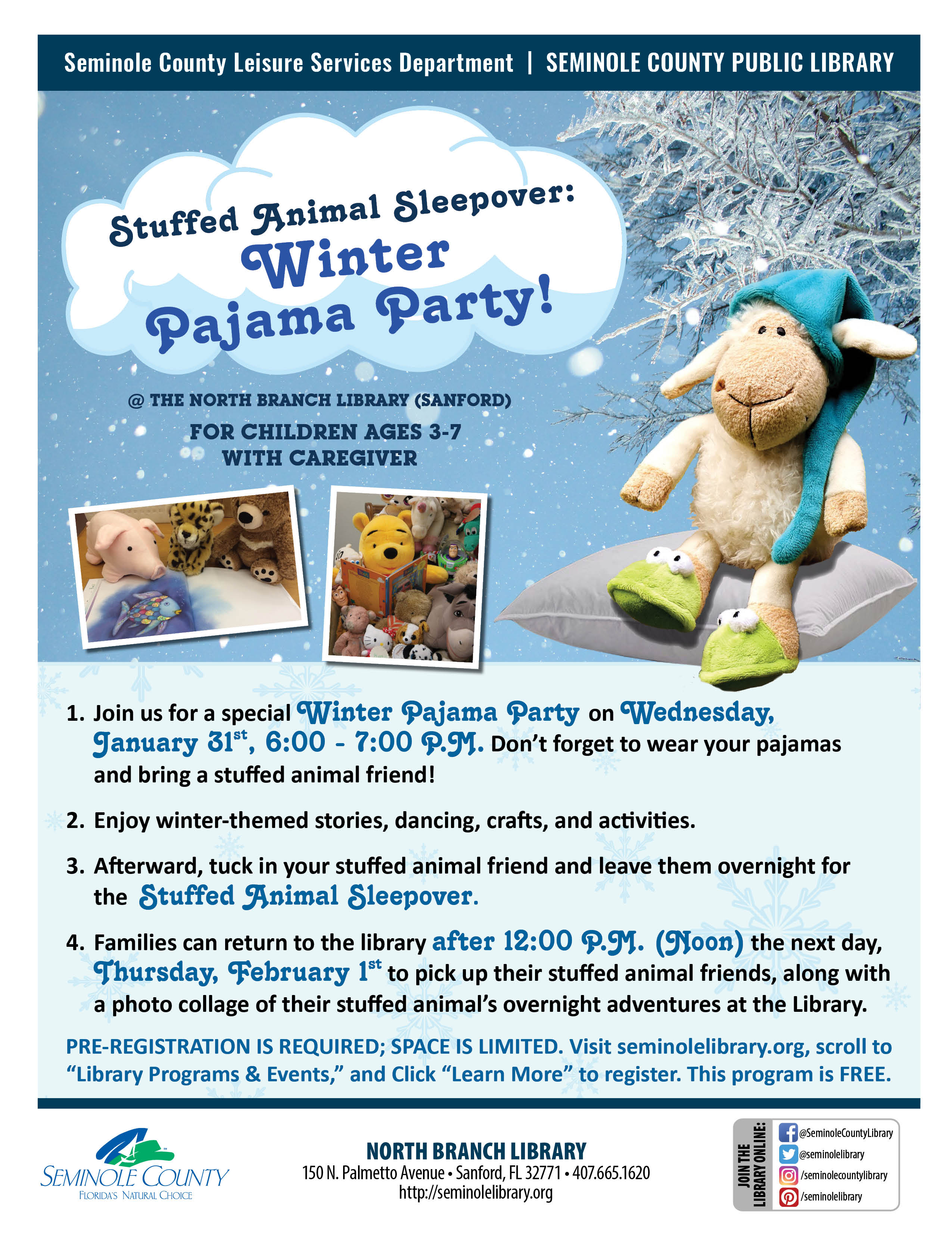 Stuffed Animal Sleepover Winter Pajama Party - North