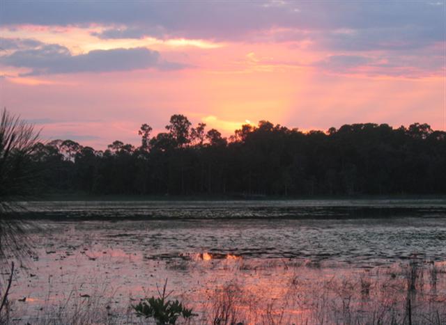 Lake Proctor Wilderness Area