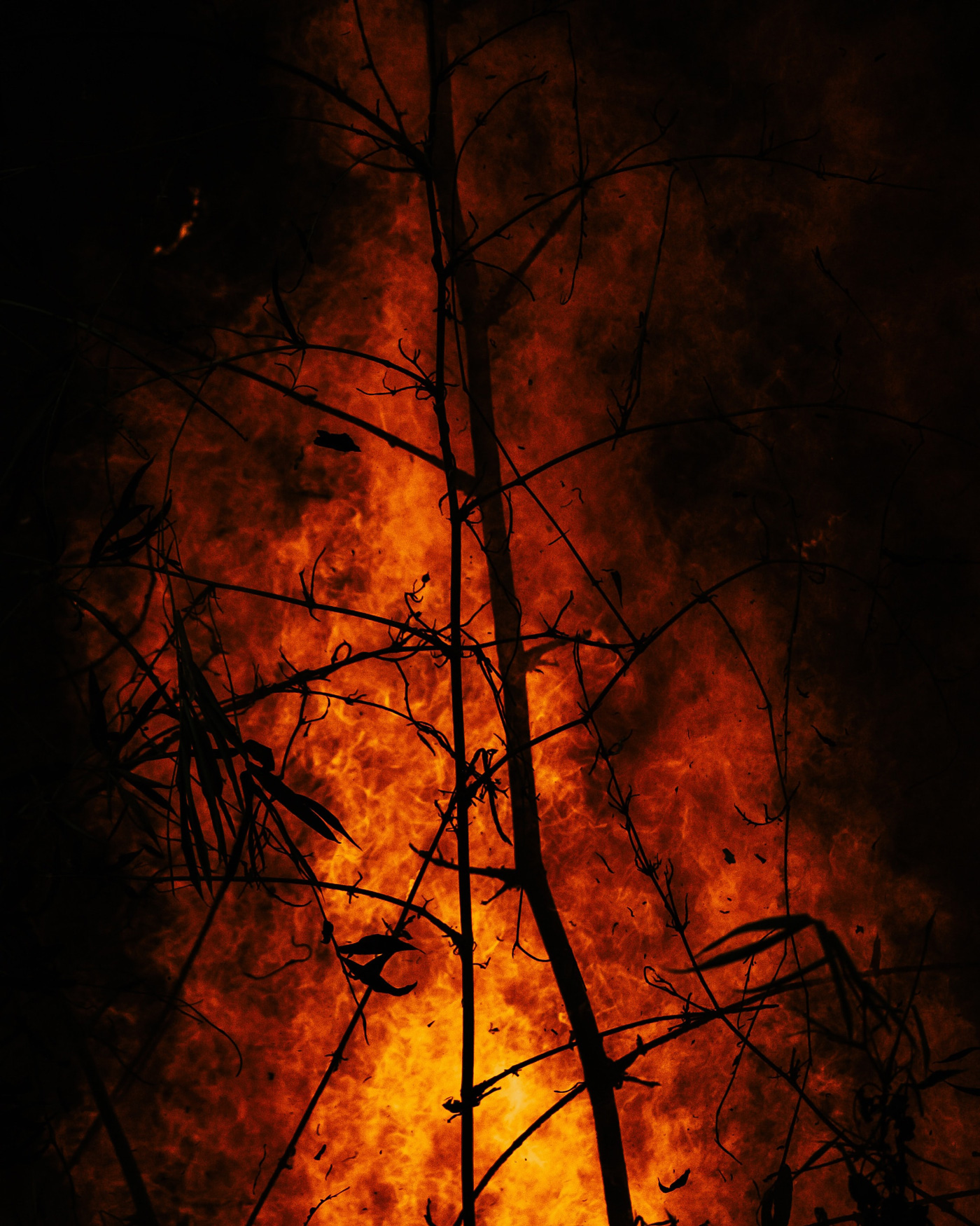 wildfire