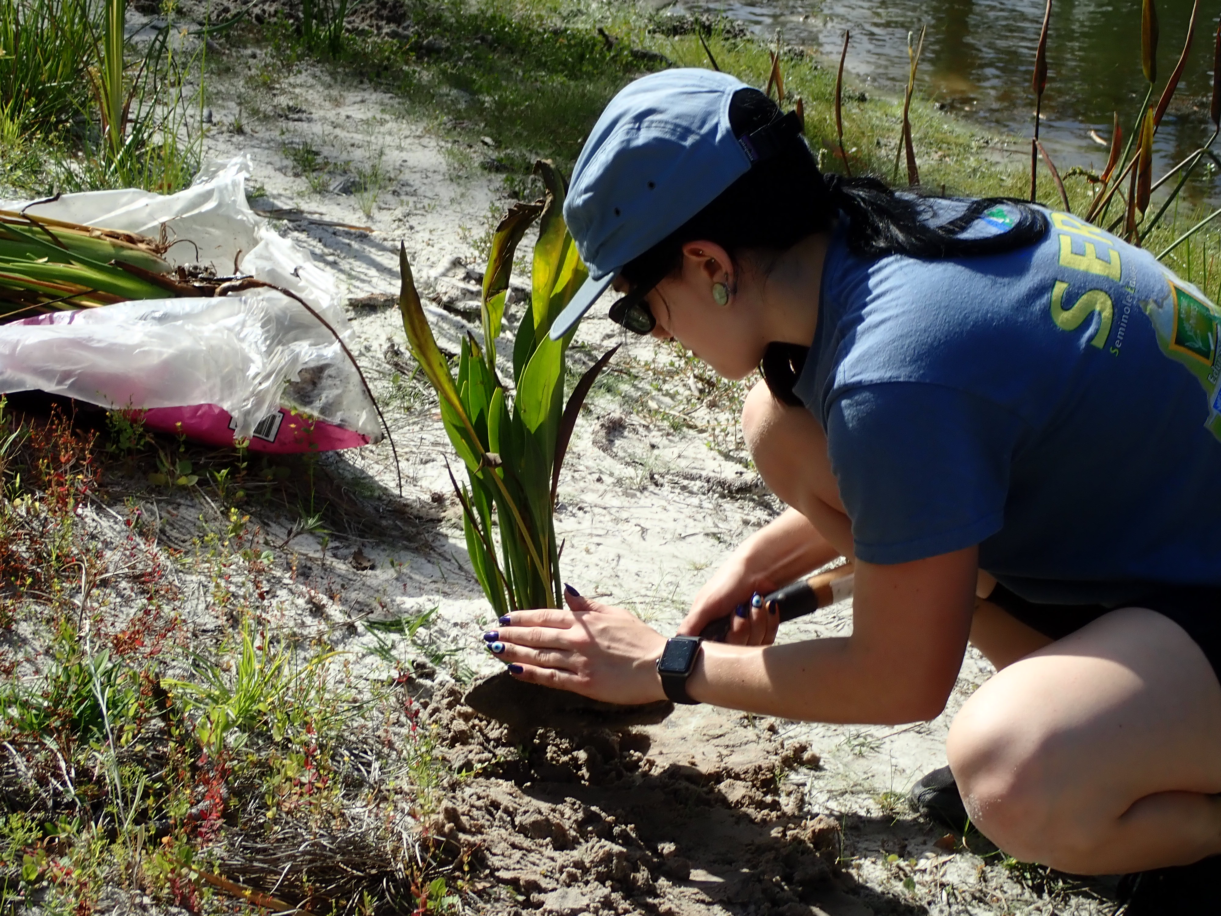 Spring Wood Lake Restoration