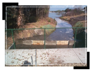 0024471-operations_projects_woods3 0024471-operations_projects_woods3