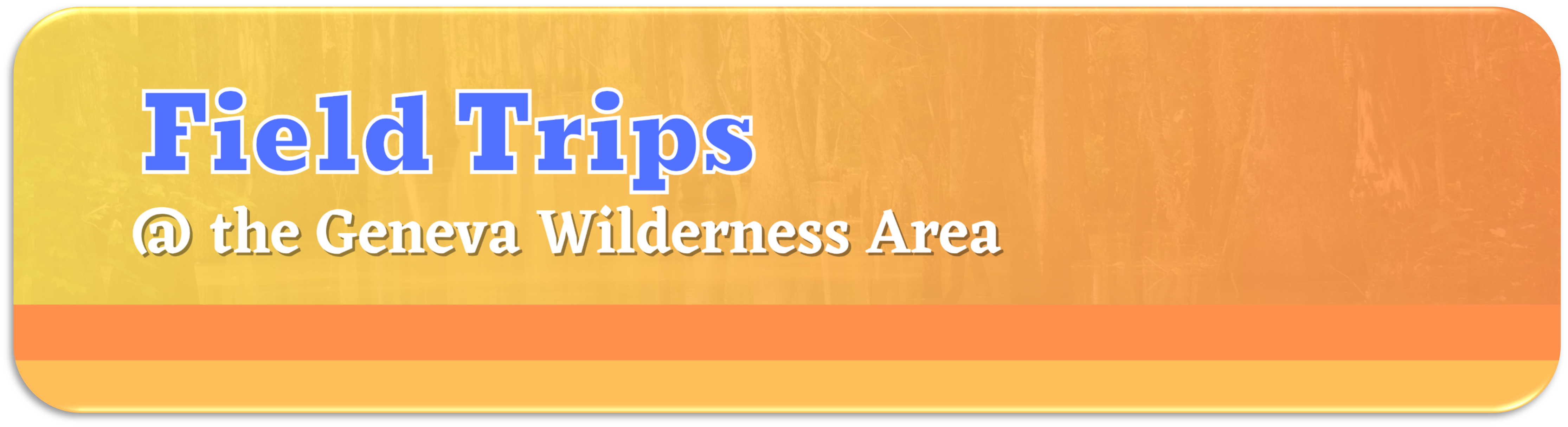 Field Trips Website Button Field Trips at the Geneva Wildnerness Area