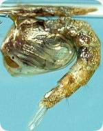 information_photo3