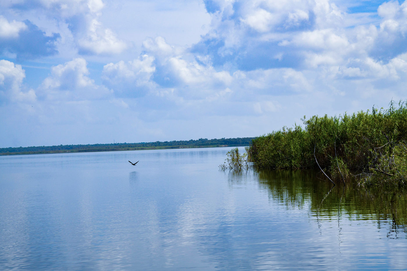lake-management