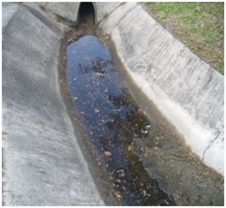 miami_springs1 miami_springs1