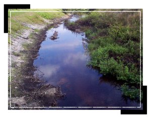 operations_canal_beargully2