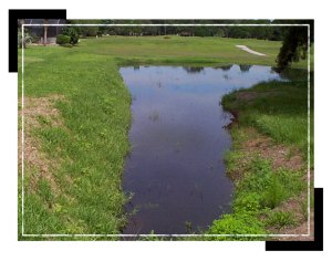 operations_pond_fenway3 operations_pond_fenway3