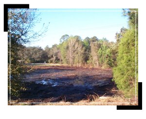 operations_pond_shannon3 operations_pond_shannon3