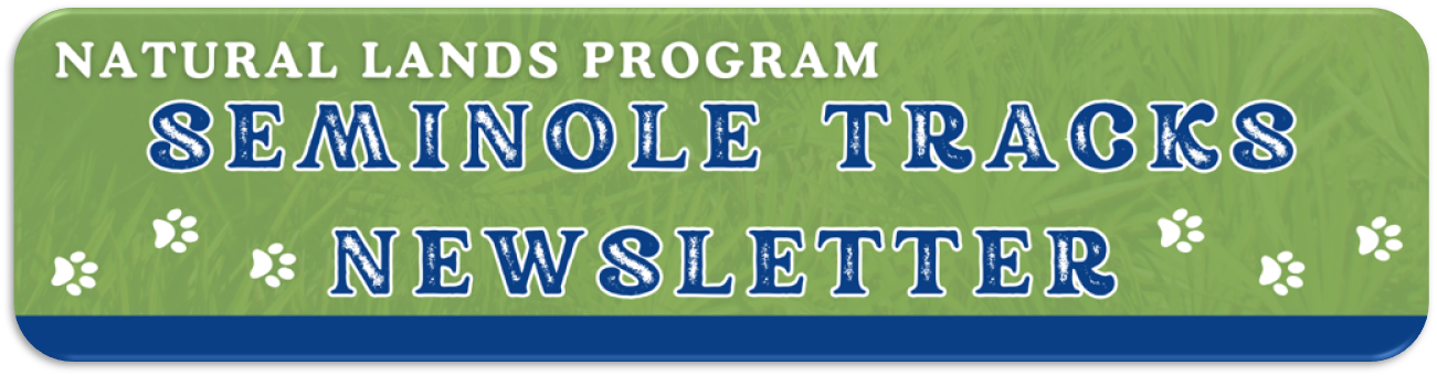 Seminole Tracks Newsletter Button