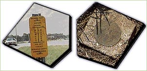 surveyp